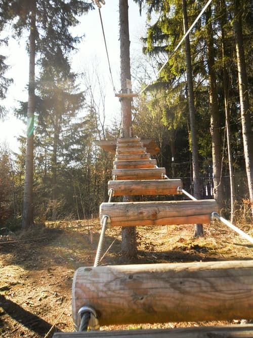 Forest climbing parkour